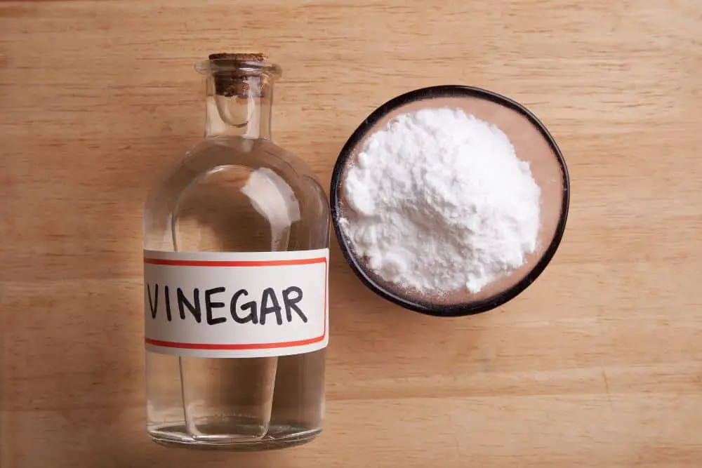 Vinegar and detergent